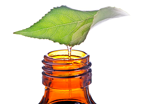 Quality Expertise Bottle with oil and leaf_Cedarome