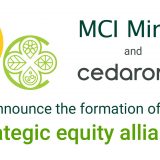MCI Cedarome strategic equity alliance