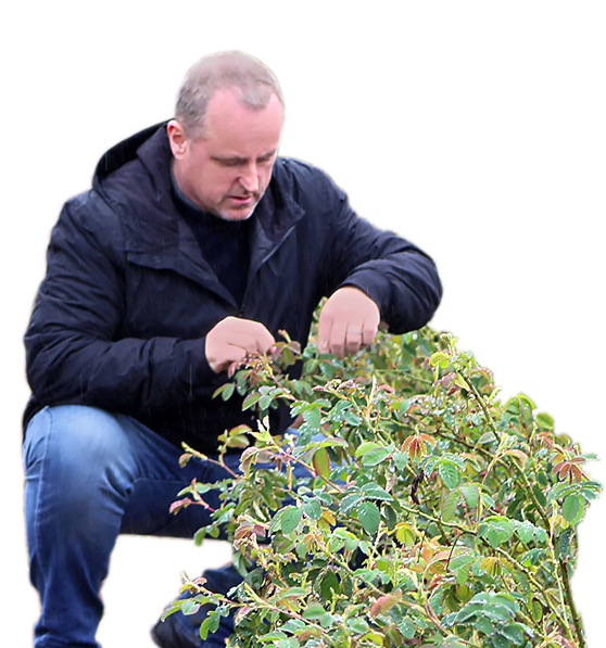 Partnerships, valued long-term relations with producers_Jerry O'Regan Partnerships, valued long-term relations with producers_Jerry O'Regan